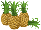 pineapples-576576_640